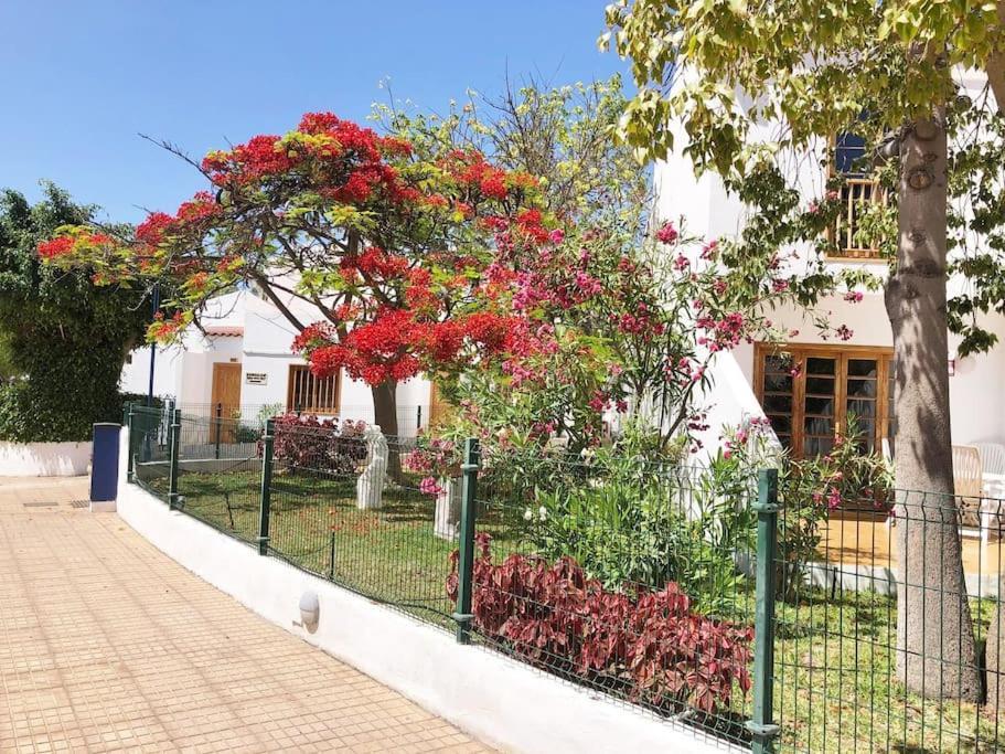 Apartamento Lucia Garden City Con Piscina Climatizada Playa Feñabe Exterior foto