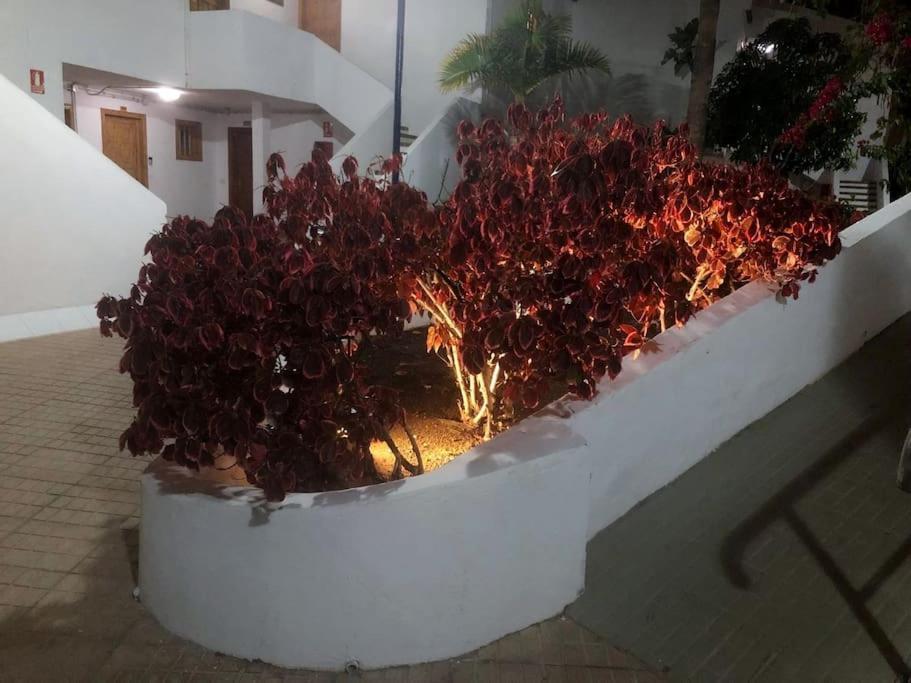 Apartamento Lucia Garden City Con Piscina Climatizada Playa Feñabe Exterior foto